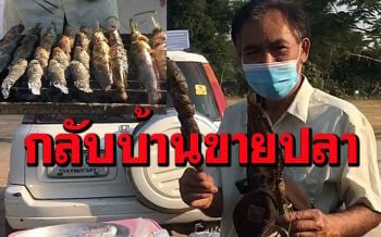 เชฟโรงแรม 5 ดาวทิ้งเงินเดือนหลักแสนหนี \'โควิด\' กลับบ้านเกิดยึดอาชีพขายปลาย่าง (คลิป)