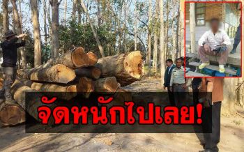 \'วราวุธ\'สั่งชุดพยัคฆ์ไพรจัดหนัก! จนท.ป่าไม้ลำปาง เอี่ยวแก๊งมอดไม้รายใหญ่