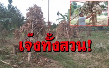 น้ำท่วมใต้! สวนทุเรียนยืนต้นตาย เกษตรกรรับไม่ได้ปล่อยน้ำเขื่อน อย่าอ้างน้ำป่าหลาก
