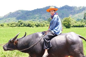 ช่อง 3 ชวนแฟนละคร‘เทพธิดาปลาร้า’ &แฟนรายการ‘แซ่บพาซ่าส์’พิชิตสูตรเมนูอร่อยเด็ด!