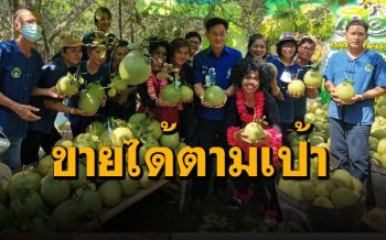 ชาวสวนส้มโอขาวใหญ่ยิ้มขายออนไลน์ทะลุเป้าเกินความคาดหมาย