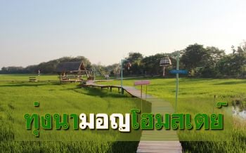 นศ.คณะการท่องเที่ยวฯ DPU ชวนเช็คอินแห่งใหม่ \'ทุ่งนามอญโฮมสเตย์\'