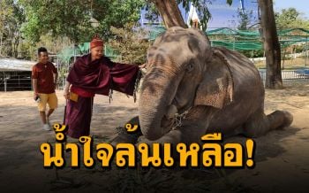 ชาวบ้านแห่ช่วย ‘ช้างพิการ-ช้างตกงาน-สัตว์’ ยุคโควิด