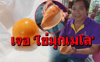 หนุ่มซื้อหอยกระโจงโดงมา 50 บาทหวังต้มกิน ผงะ!กลับเจอ\'ไข่มุกเมโล\'ซะงั้น