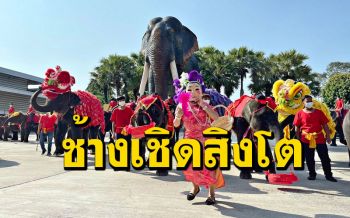 \'ช้างแสนรู้\' เชิดสิงโตรับเทศกาลตรุษจีนสุดยิ่งใหญ่ สร้างสีสันให้นักท่องเที่ยว