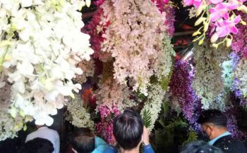 ตระการตา!‘ถ้ำกล้วยไม้’ใหญ่ที่สุดในภาคเหนือ อวดโฉมแล้ว ชาวลำปางแห่ถ่ายภาพสวย