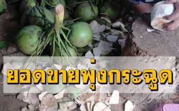 ออเดอร์ปังมาก! พ่อค้าน้ำมะพร้าวปอกแทบไม่ทันยอดขาย \'วันวาเลนไทน์\' พุ่งกระฉูดวันละ 200 ลูก