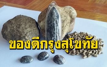 ของดีหายาก \'ข้าวตอกพระร่วง-ข้าวก้นบาตรพระร่วง\' หินศักดิ์สิทธิ์แห่งกรุงสุโขทัย