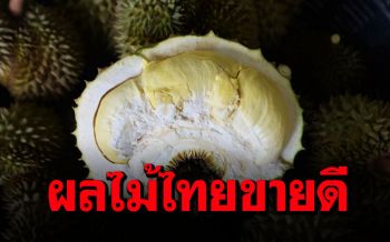 ส่งออก‘ผลไม้ไทย’ไปจีนขยายตัว แม้เจอโควิด-19