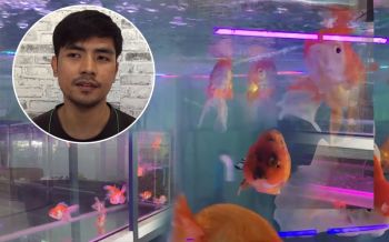 หนุ่มโรงแรมหนีโควิดจากเมืองหลวง เปิดร้านขายปลาสวยงาม แนะวิธีเลี้ยงปลาฟรี