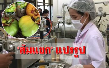 สหกรณ์การเกษตรสะบ้าย้อย นำ‘ส้มแขก’ แปรรูปสร้างรายได้ในชุมชน