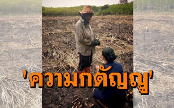 \'วันมาฆบูชา\' ไม่ใช่แค่วันสำคัญทางศาสนาพุทธ แต่ยังเป็น \'วันกตัญญูแห่งชาติ\' ด้วย