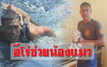เผยโฉมหน้าฮีโร่! ‘ทหารเรือ’ ช่วยเหลือแมว 4 ชีวิต กลางทะเล (คลิป)
