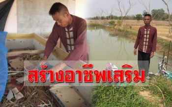 หน้าแล้งไม่มีน้ำชาวนาสร้างอาชีพเสริม ‘ปลูกผัก-เพาะจิ้งหรีด’ รายได้งาม