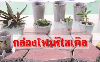 ลดโลกร้อน! แก้ปัญหาขยะจากกล่องโฟมรีไซเคิลเป็น ‘บล็อกปูพื้น-กระถางต้นไม้’