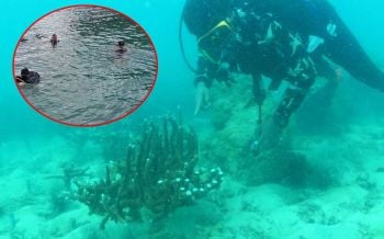 ดำสำรวจแปลงปลูก‘ปะการัง’เกาะทะลุ พบกิ่งถูกหักเสียหายยับ 3 ไร่