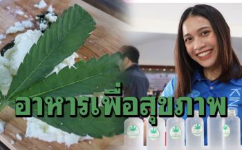 สกลฯขับเคลื่อนเมืองกัญชาหางกระรอกทางการแพทย์ ต่อยอดสู่อาหารเพื่อสุขภาพ