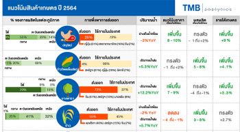 TMBชี้สินค้าเกษตรปี’64  ยางพาราขยับรับอานิสงส์โควิด