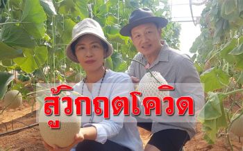 เจ้าของโรงแรมฮึดสู้! ไม่เลิกจ้าง พนง. ชวนมาร่วมเปิด ‘ฟาร์มเมลอน’ สร้างรายได้