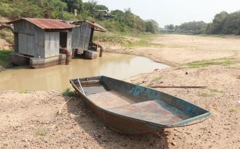 แม่น้ำยมแห้งสุด! โรงสูบน้ำพลังไฟฟ้าหยุดสูบ ข้าวนาปรังเริ่มเหี่ยวเฉา