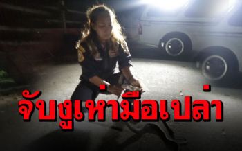 หวาดเสียว! กู้ภัยสาวจับ ‘งูเห่า’ ด้วยมือเปล่า หลังเลื้อยเข้าไปในวิทยาลัยฯ (คลิป)