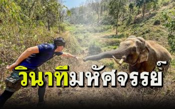 ภาพประทับใจ\'หมอล็อต-ช้างป่า\'กับวินาที\'เรายังจำกันได้\'และเสียงที่ไม่เคยได้ยิน