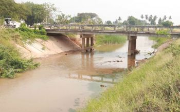 ชาวนาเร่งสูบน้ำเขตชลประทานพิจิตร ความหวังสุดท้ายช่วยหล่อเลี้ยงต้นข้าวที่กำลังออกรวง