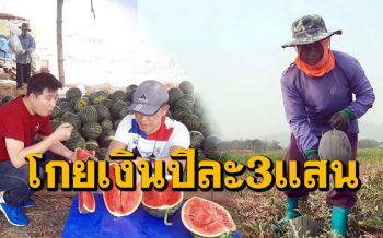 เกษตรกรยิ้ม! อากาศร้อนปลูกแตงโมแทนนาปรัง ขายดีสร้างรายได้ปีละ2-3แสนบาท