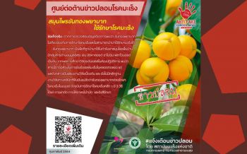 แพทย์เตือน ‘สมุนไพรขันทองพยาบาท’ ใช้รักษาโรคมะเร็งไม่ได้