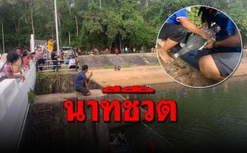 นาทีชีวิต! จนท.ใช้เวลากว่าชั่วโมงช่วยโลมาปากขวดหลงเข้ามาที่ประตูน้ำเขาสมิง