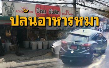 แม่ค้างง! หญิงขับเก๋งป้ายแดงจอดหน้าร้านยกอาหารสัตว์ขึ้นรถขับออกไปหน้าตาเฉย