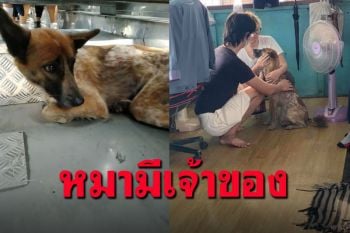 \'เจ้าคุกกี้\'ได้กลับบ้านแล้ว หลังเป็นข่าวดัง เจ้าของบอกหายไป2วัน