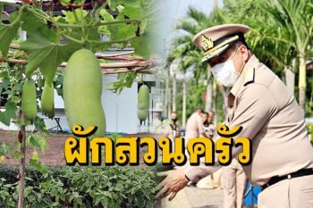 ทหารเรือปลูกผัก! กองเรือยุทธการเปิดสวนผักรักษ์สุข สร้างอาชีพสร้างรายได้ตามแนวพระราชดำริ
