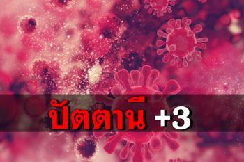 \'ปัตตานี\'พบผู้ป่วยติดเชื้อโควิด-19 เพิ่ม 3 ราย ยอดรวม 6 ราย
