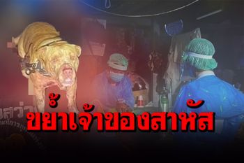 ‘พิทบูล’ คลั่งขย้ำเจ้าของเจ็บสาหัสคาบ้าน