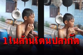 โอ้ยน้อ...เอ็นดู! เด็กน้อยโชว์จูบปลาช่อนอีท่าไหนไม่รู้ปลากระโดดกัดซะก่อน