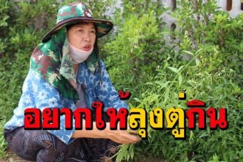 \'เจ้ไพ\'ชาวจอมบึงใจดีเพาะต้นฟ้าทะลายโจรแจกชาวบ้าน เผยในใจอยากเอาไปให้\'ลุงตู่\'กิน