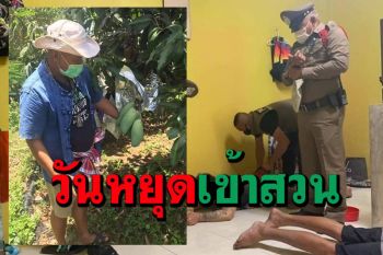 พาไปดู ตร.พัทยาใช้เวลาว่างวันหยุด ขรก.เข้าสวนทำเกษตรผสมผสานตามรอยพ่อ