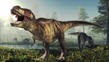 Science Update : อาจเคยมีไดโนเสาร์ทีเร็กซ์ 2,500 ล้านตัวบนโลก
