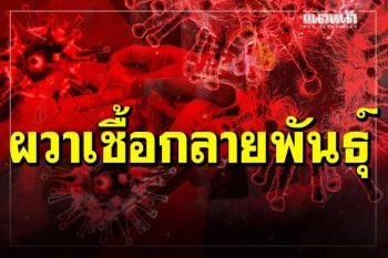 954 ผู้ป่วยโควิดอาการหนัก จับตา กต.ชะลอคนต่างชาติเข้าประเทศ