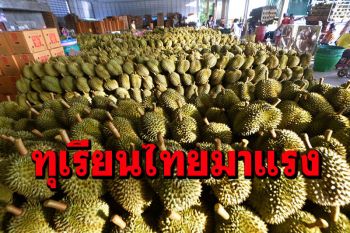 \'ไทย\'ส่งออก‘ทุเรียน’ไปจีน ไตรมาสแรกพุ่ง14%มูลค่า5.79พันล้านบาท