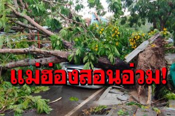 พายุฝนถล่มจว.แม่ฮ่องสอน ต้นไม้ทับรถเสียหายหลายคัน-ไฟฟ้าดับทั้งเมือง