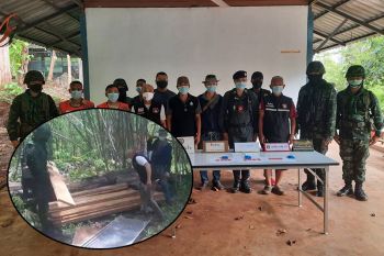 แม่ฮ่องสอนยึดยาบ้าในสวนข้าวโพด พบลอบตัดไม้สักแปรรูปอีก116แผ่น