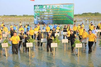 \'วราวุธ\'เผยความสำเร็จรับ\'วันป่าชายเลนแห่งชาติ\' \'ปลัดจตุพร\'สั่ง\'กรมทะเล\'เตรียมแนวทางจัดการทุกมิติ