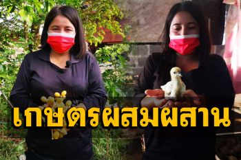 อดีตพยาบาลสาวสร้างอาชีพสู้ภัยโควิดผันชีวิตทำเกษตรรายได้เดือนละแสน