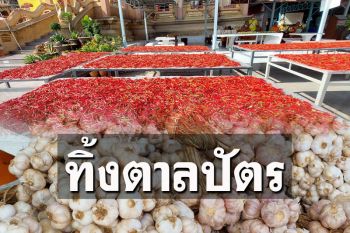 ปชช.กลัวโควิด! หลวงพ่อวางตาลปัตร เปิดขาย\'พริก-กระเทียม\'หาเงินบูรณะเมรุ