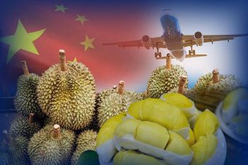 ดึงเงินเข้าไทย! \'เฉลิมชัย\'สั่ง\'เกษตรฯ\'ผนึก\'พณ.-กต.\' นำทัพสินค้าไทยบุกตลาดจีน