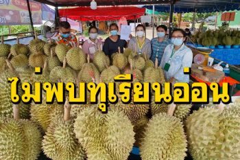 เกษตรอำเภอลุยตรวจ! แผงขายทุเรียน ชาวบ้านร้องโดนหลอกซื้อทุเรียนอ่อน