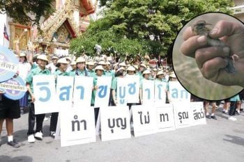 วิสาขบูชา TSPCA ชวนทำบุญไม่ทารุณสัตว์