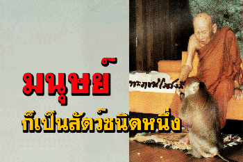 \'มนุษย์ก็เป็นสัตว์ชนิดหนึ่งในจำพวกของสัตว์ทั้งหลายที่มีอยู่ในโลกนี้\' โอวาทธรรม หลวงปู่เทสก์